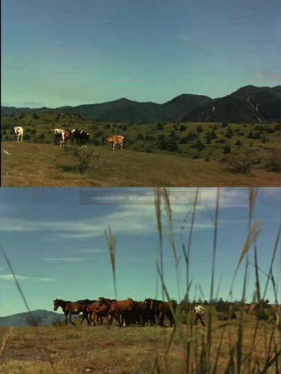 异乡的红裙：身体展演与道德疆界